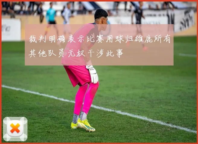 裁判明确表示比赛用球归雄鹿所有其他队员无权干涉此事