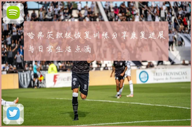 哈弗茨积极恢复训练分享康复进展与日常生活点滴