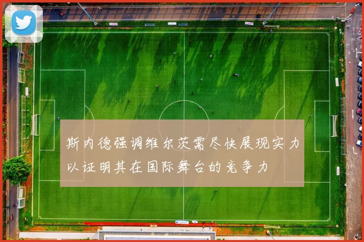 斯内德强调维尔茨需尽快展现实力以证明其在国际舞台的竞争力