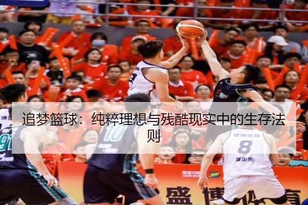 追梦篮球:纯粹理想与残酷现实中的生存法则